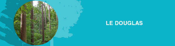 LE_DOUGLAS